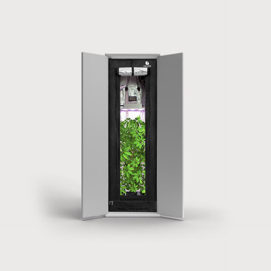 Caluma Readymade 100 - Growbox Komplettset